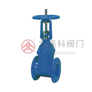 Z45X-10、Z45X-16 彈性座封閘閥